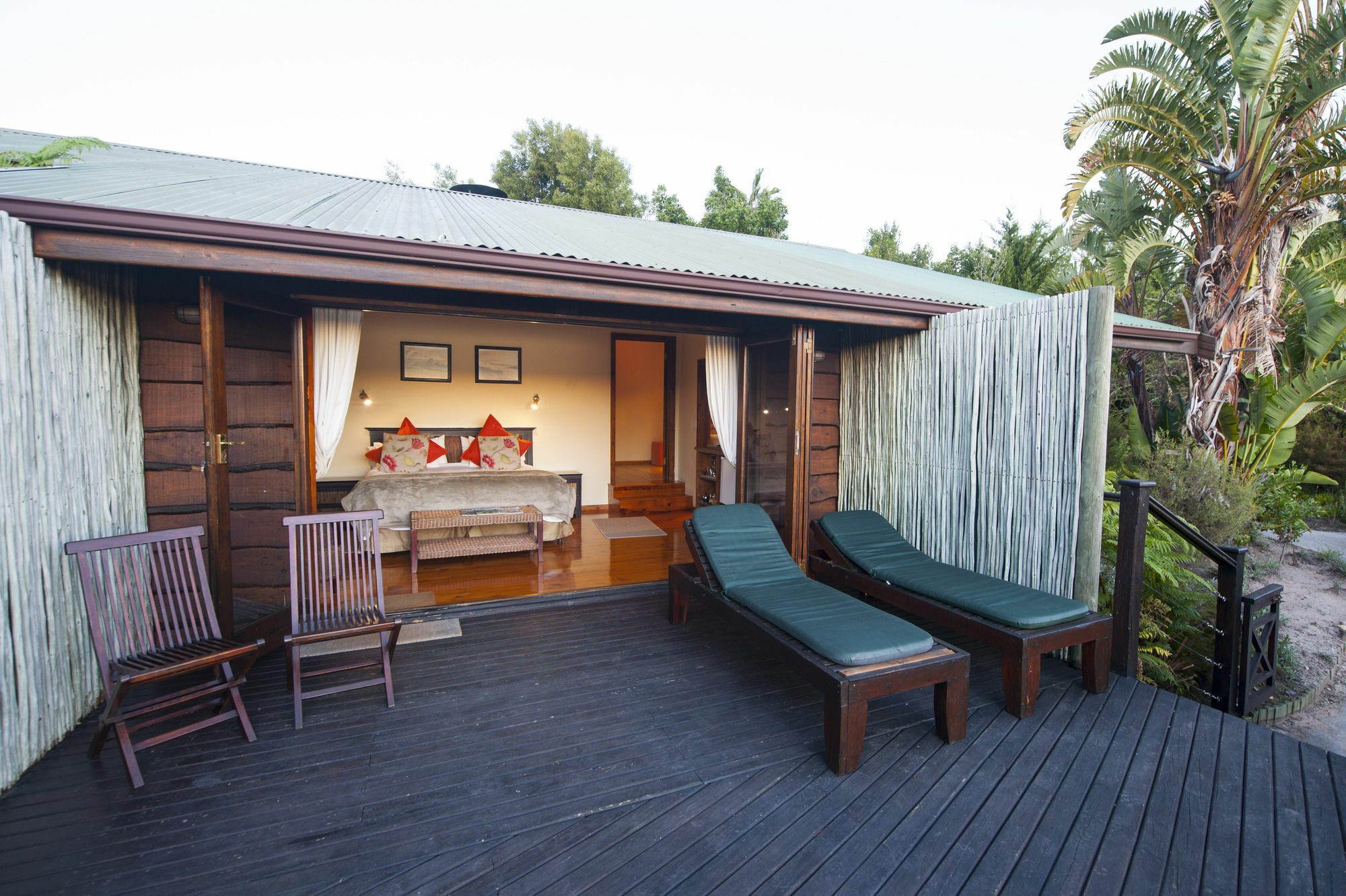 Elephant Hide Of Knysna Guest Lodge Exterior foto