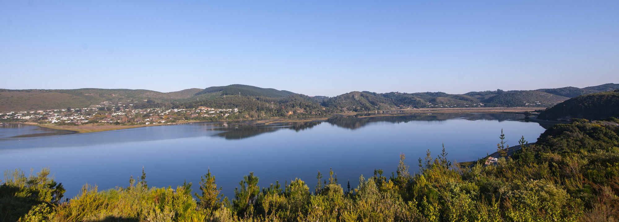 Elephant Hide Of Knysna Guest Lodge Exterior foto
